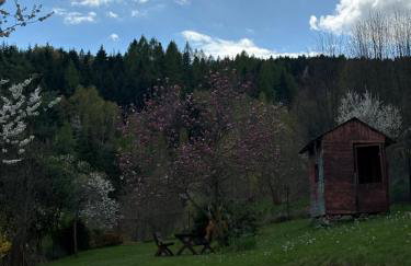 Dom w górach Zacisze lasu z prywatną balią - Foto 37
