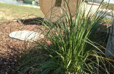 Ferienhaus Am See - Foto 29