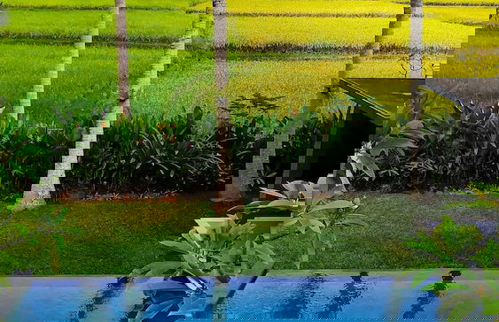 Anggira Villa Ubud - Photo 59