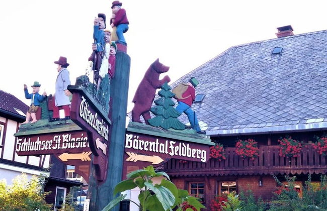 Pine Cones in the Haslehaus - Foto 31