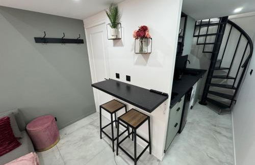 Petit Boudoir Lyonnais neuf terrasse climatisé - Foto 16