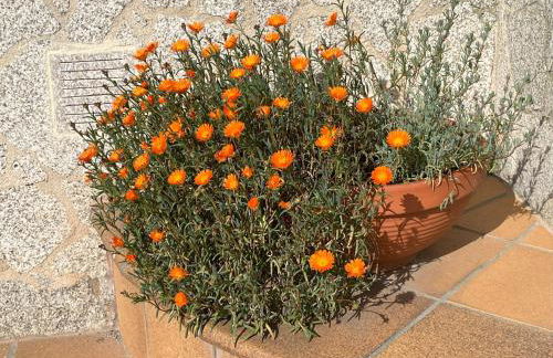 Un Paraiso Junto al Mar - Foto 15