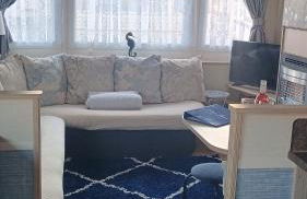 Blue skies golden gate holiday centre,towyn ,abergele - Photo 4