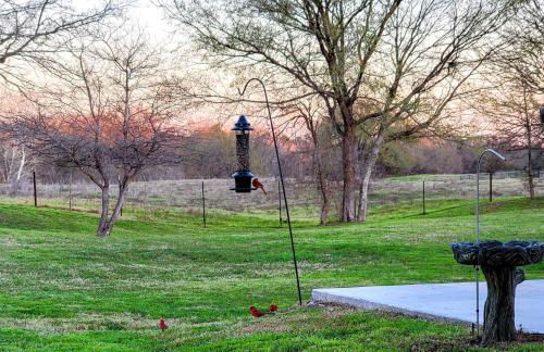 Bird House, Romance Glamping Pup Paradise Near River ADA - Photo 18