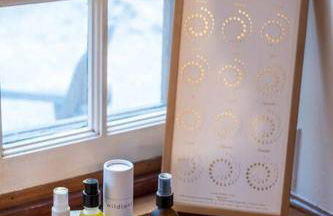 Wildland Zen Den Tiny House Retreat with Fireplace Grill AC Hammock Record Player Musical Instruments Pets OK - Foto 17