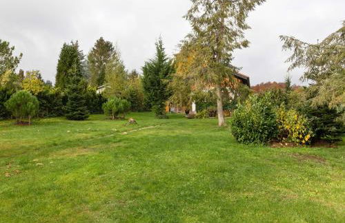 Ferienhaus im Thüringer Wald - Foto 28