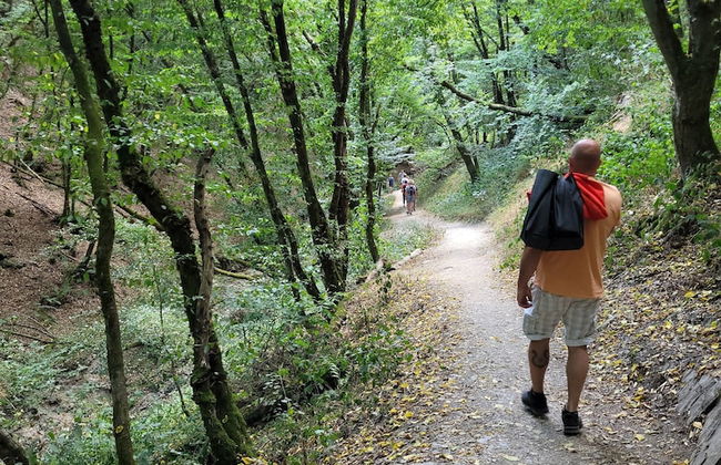 Familiehuis Dolve - Photo 32