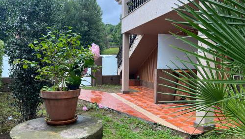 El Doce Del Ferial - Foto 3, Garden