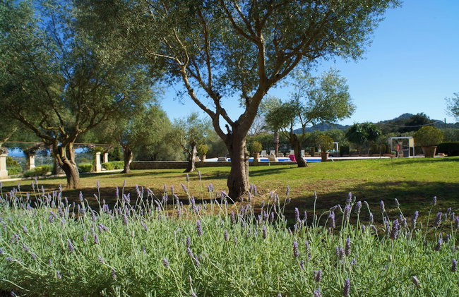 Agroturismo Son Cardaix - Foto 28