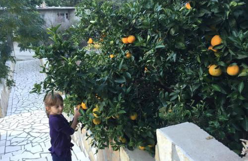 Apartments Stermasi - Photo 39