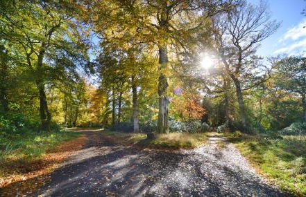 Loch Lomond Finnich Cottages - Foto 20