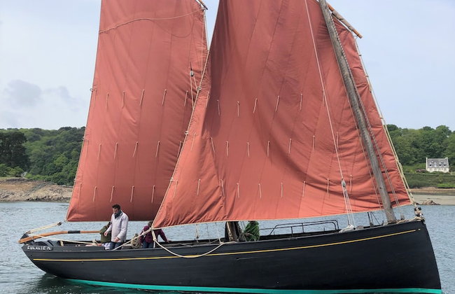 Les écolodges Sous Le Phare - Foto 66