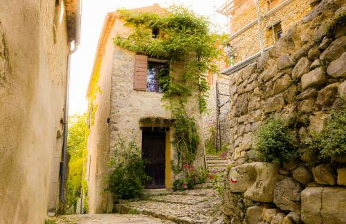 Chateau des Gipières bij de Mont Ventoux - Foto 38