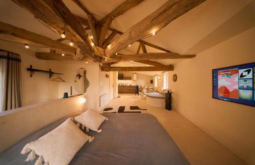 Suite cosy et atypique, en centre ville de Cognac - Foto 22