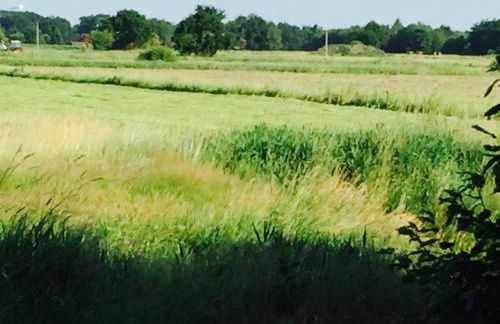 Komfortable Apartments in der Villa Eule - Foto 34