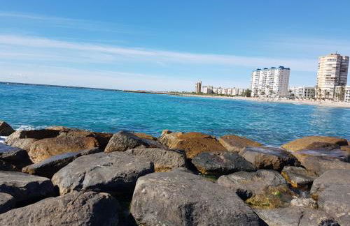 Jardin del Mar Playa Muchavista - El Campello - Alicante - Photo 40