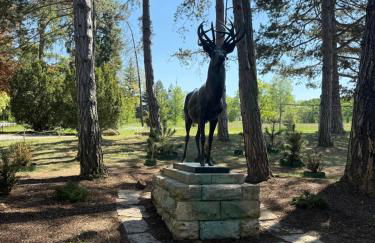 Casa Antic Große Moderne 75qm Wohnung Direkt im Zentrum WLAN Ist Kostenlos 1-6 Personen - Foto 9