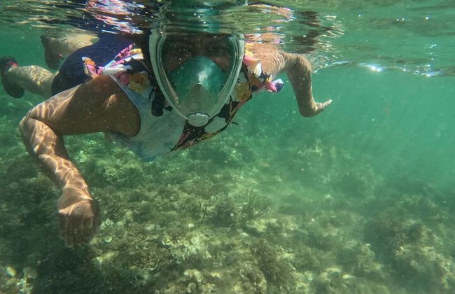 Excursão pela costa de bicicleta elétrica em Alicante com lago de peixes Román e mergulho com snorkel - Foto 14