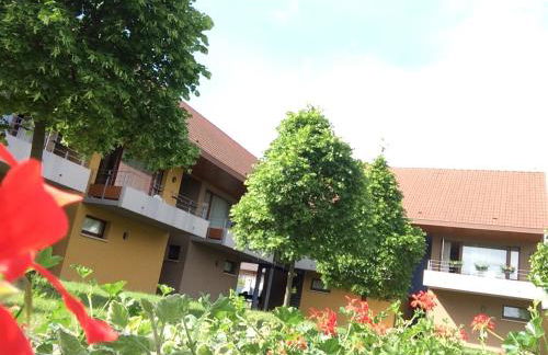 Les Loges Du Ried - Studios & Appartements proche Europapark - Foto 14