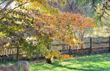 Brzozowy Zakątek - Foto 21