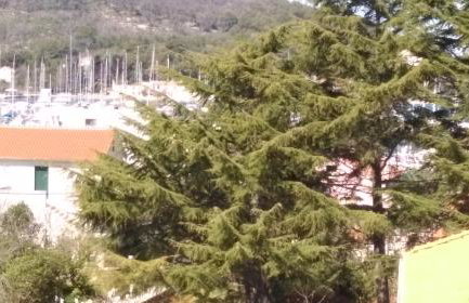 Apartments Lena - Photo 22