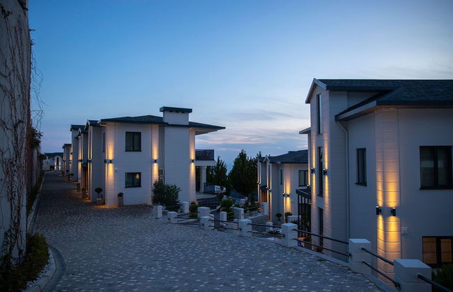 Antique Hills - Foto 24