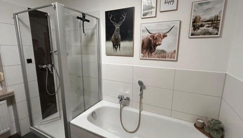 Pudelwohl in Obermelsungen - Foto 2, Shower