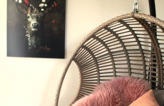 FerienWohnung SeeUfer am Plöner See - Foto 8