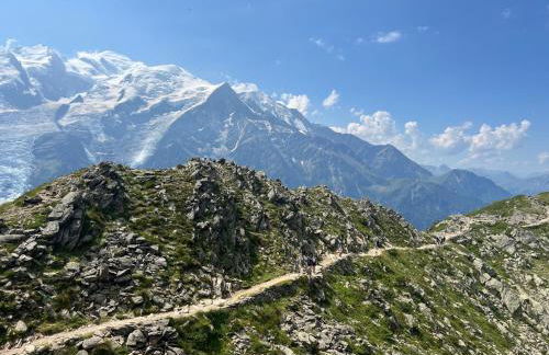 Appartement cosy au pied du MtBlanc - Photo 35