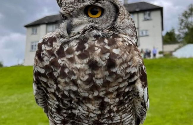 Lyth Valley Country House - 9 Rooms - Foto 46