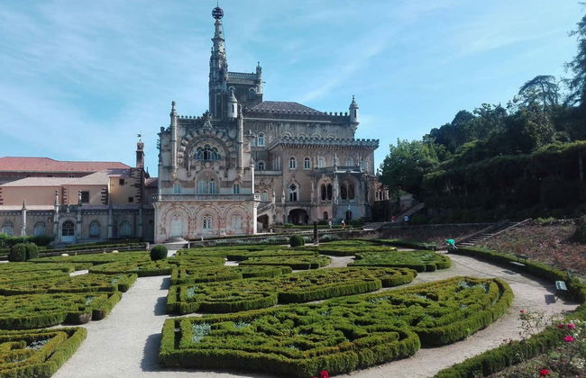 Bairrada Wine Region Tour - Photo 8