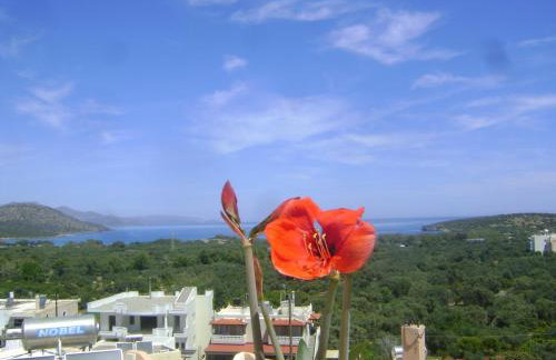 Kavousanos Apartments - Foto 67