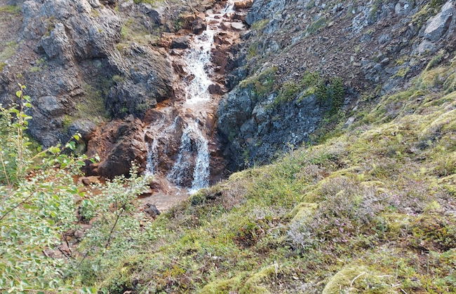 Ásgeirsstaðir Cottages - Foto 49