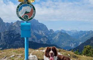 Mountain Apartment Rododendro - Foto 54