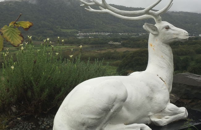 Plas Maenan Country House - Foto 16