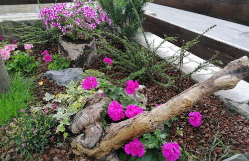 Taverna Larice - Foto 10