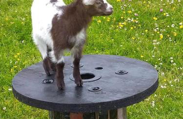 Domaine de la Dune Gite entre Terre et Mer - Foto 14