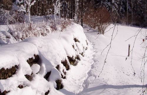 Ferienhaus in Kollnburg mit Garten - Foto 33
