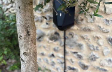 Olive Quay Cottage - Rustic elegance, big country garden Norfolk coast - Foto 15