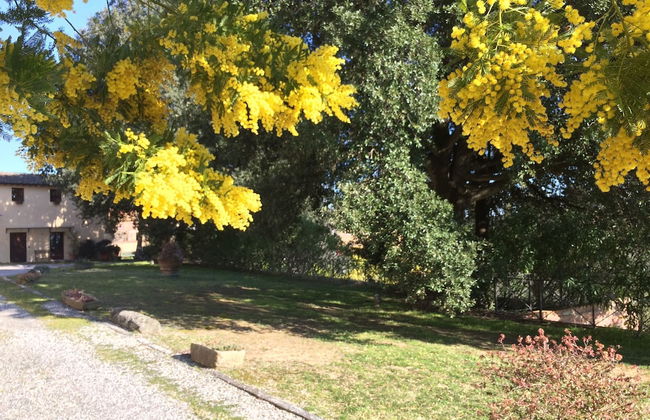 Agriturismo La Palazzina - Foto 67