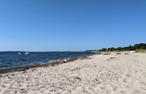 Taubennest - Foto 40