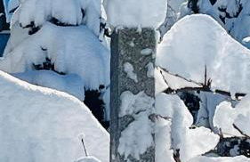 Ferienwohnungen Doro - Foto 58