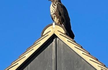 Idyllic cottage escape in Oxfordshire countryside - Foto 33