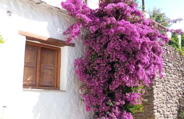 Casa Fortuna - Foto 1