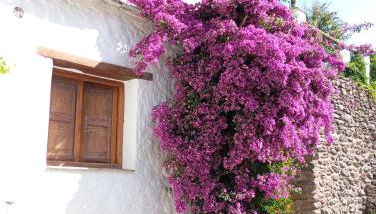 Casa Fortuna - Foto 1