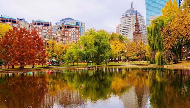 Free tour por Boston - Foto 5