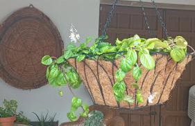 Casa Rural en San Carlos del Valle- Doña Gumersinda - Foto 71