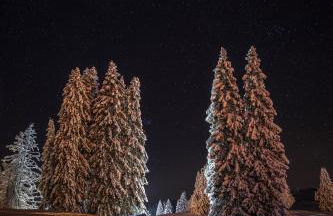 FEWO zum gscheiten Beck mit Garten - Foto 23