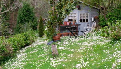 Casa Rural La Posada del Alba - Foto 5