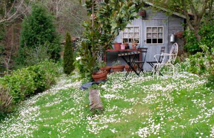 Casa Rural La Posada del Alba - Foto 5